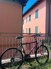 Mountain bike NEVADA