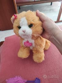 gattina interattiva daisy