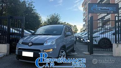 FIAT Panda 1.0 FIREFLY S&S HYBRID CITY LIFE*CLIM