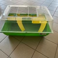 Acquario per tartarughe