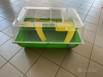 Acquario per tartarughe