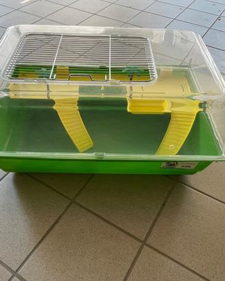 Acquario per tartarughe