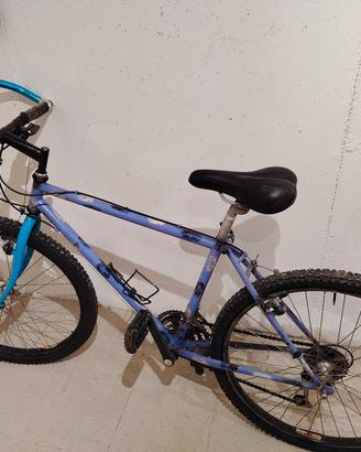 bicicletta 