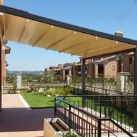 Pergotenda evolution