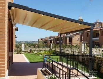 Pergotenda evolution