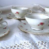 Set 6 tazze da té Schirnding Bavaria