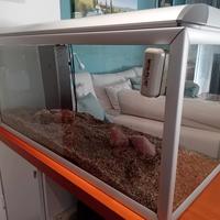 acquario juwel 180 L. + accessori