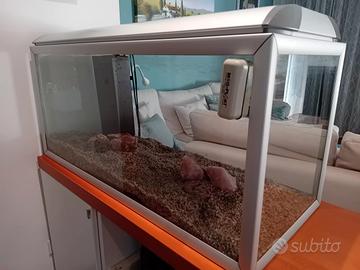 acquario juwel 180 L. + accessori