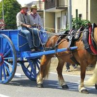 Carro agricolo in legno anni '50