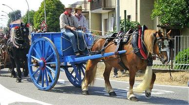 Carro agricolo in legno anni '50