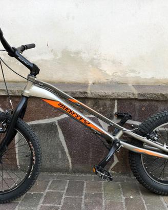 Bici da Trial Monty