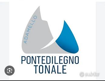 Cedola Stagionale Ponte di Legno Tonale ski
