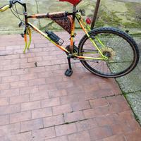 Bicicletta mountain bike