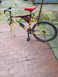 Bicicletta mountain bike