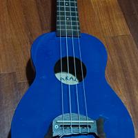 ukulele makala