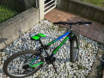 Bici 20 pollici Montana