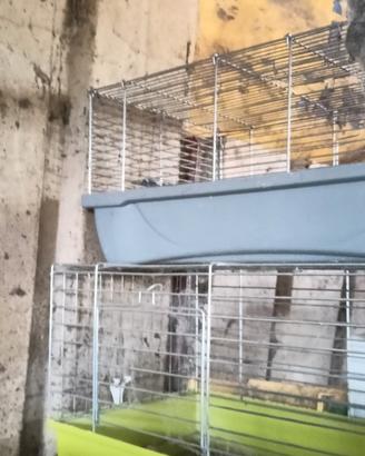 Gabbiette per conigli
