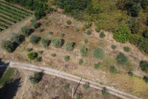 Terreno agricolo
