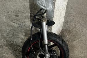 FORCELLE RUNNER 50 COMPLETA