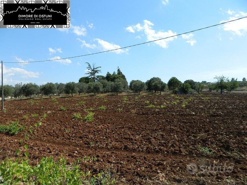 TERRENO FRONTE STRADA 5000mq in VALLE D'ITRIA - Vista 4