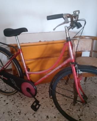 City Bike donna  marca Klinton
