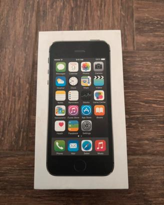 iPhone 5s