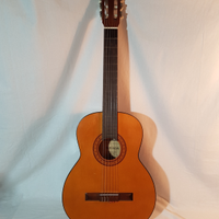 Chitarra classica Privada
