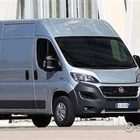 Musata ducato 2018