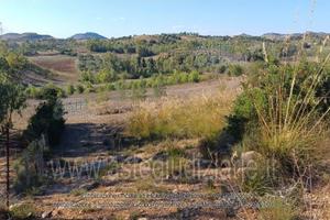 Terreno Agricolo Serrenti [A4353785]
