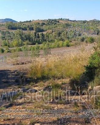 Terreno Agricolo Serrenti [A4353785]