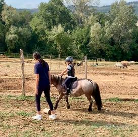 Mini pony femmina