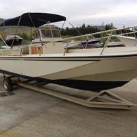Boston Whaler 22 WD