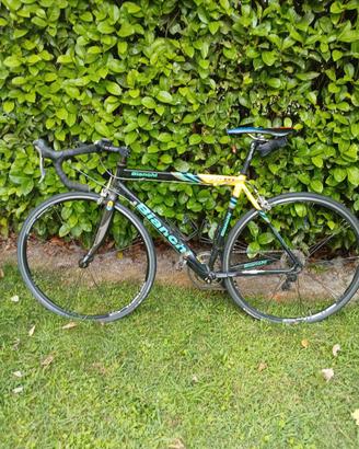 Bici da corsa BIANCHI