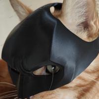Maschera gatto