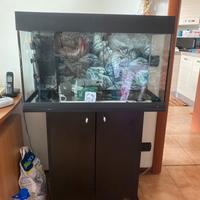 Acquario 125 l