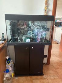 Acquario 125 l
