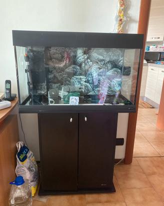 Acquario 125 l