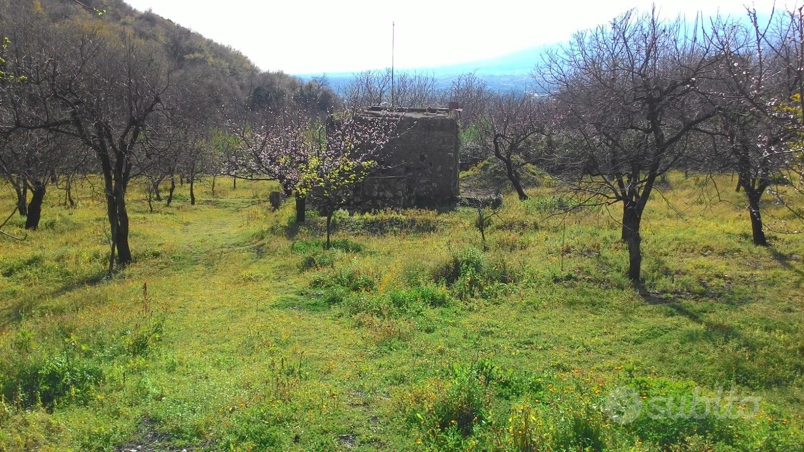 Terreno agricolo a Palma Campania - Vista 3