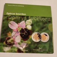 Monete argento e niobio Lussemburgo