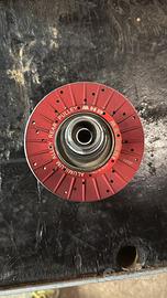 Correttori furia Rossa