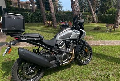 Harley Davidson Pan America 1250 Special