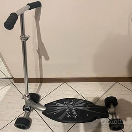 Skateboard Street carver