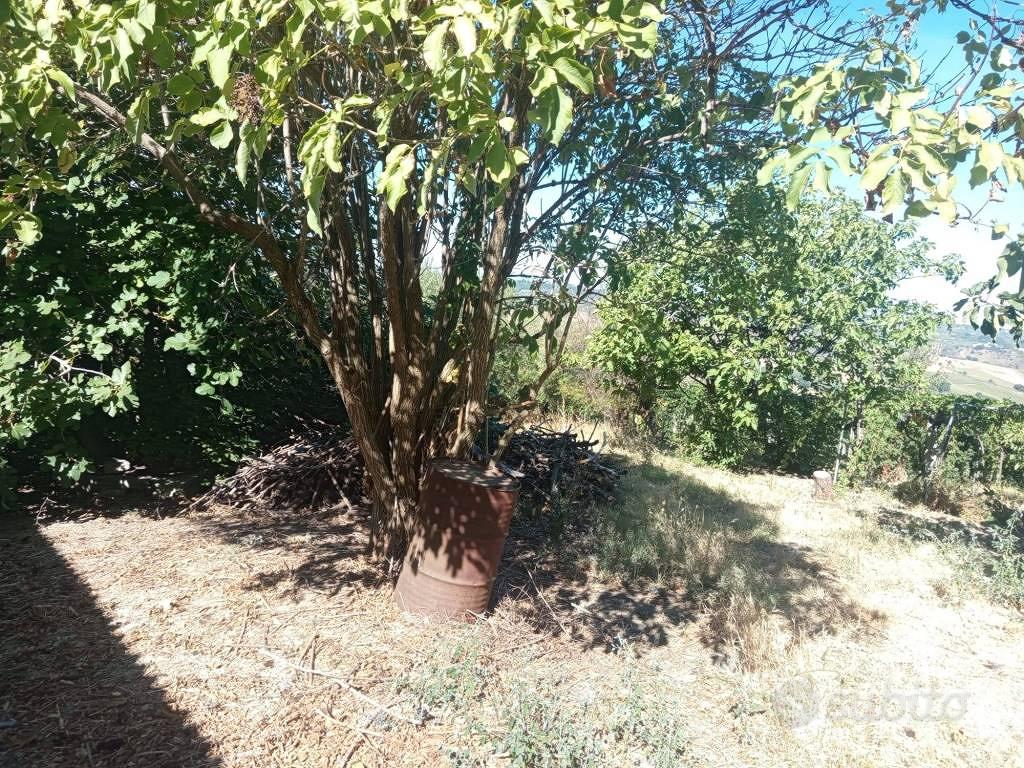 Rustico / Casale di 240 m² con 3 locali e box auto - Altro