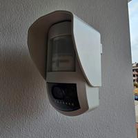 Antifurto crow/vorsicher