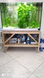 Acquario completo di pesci e piante vere