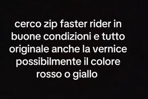 zip fast rider