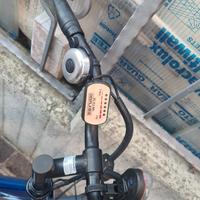 bicicletta elettrica 