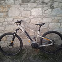 Ebike Haibike motore Bosch