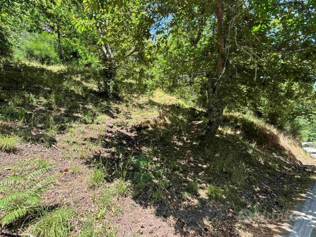 Immobile in asta di 11270 m² a Marzano Appio - Vista 4