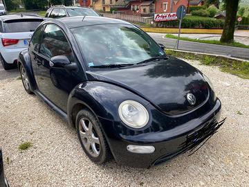 New beetle